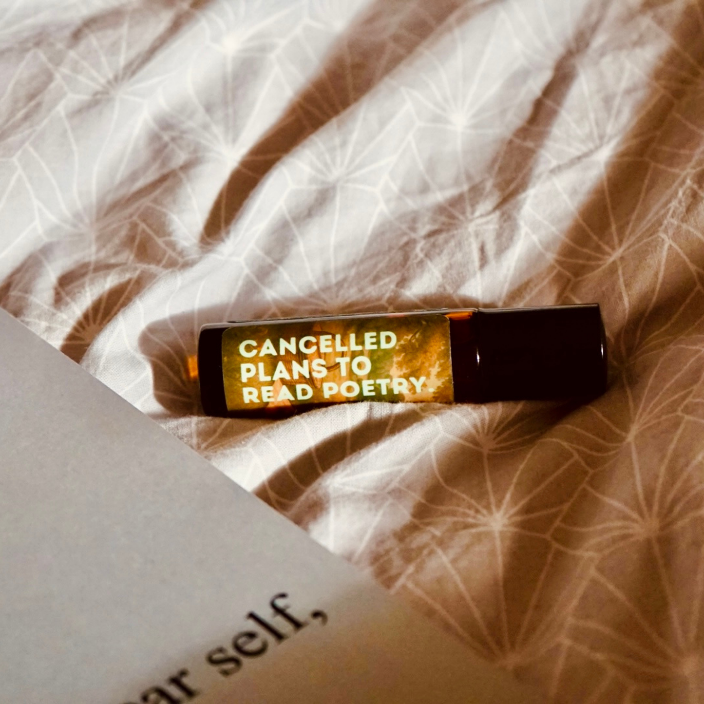 Cancelled plans to read poetry.