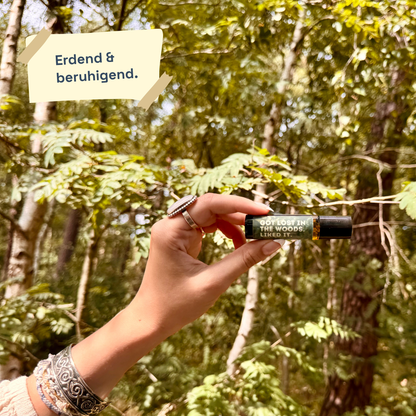 Got Lost In The Woods. Liked It.