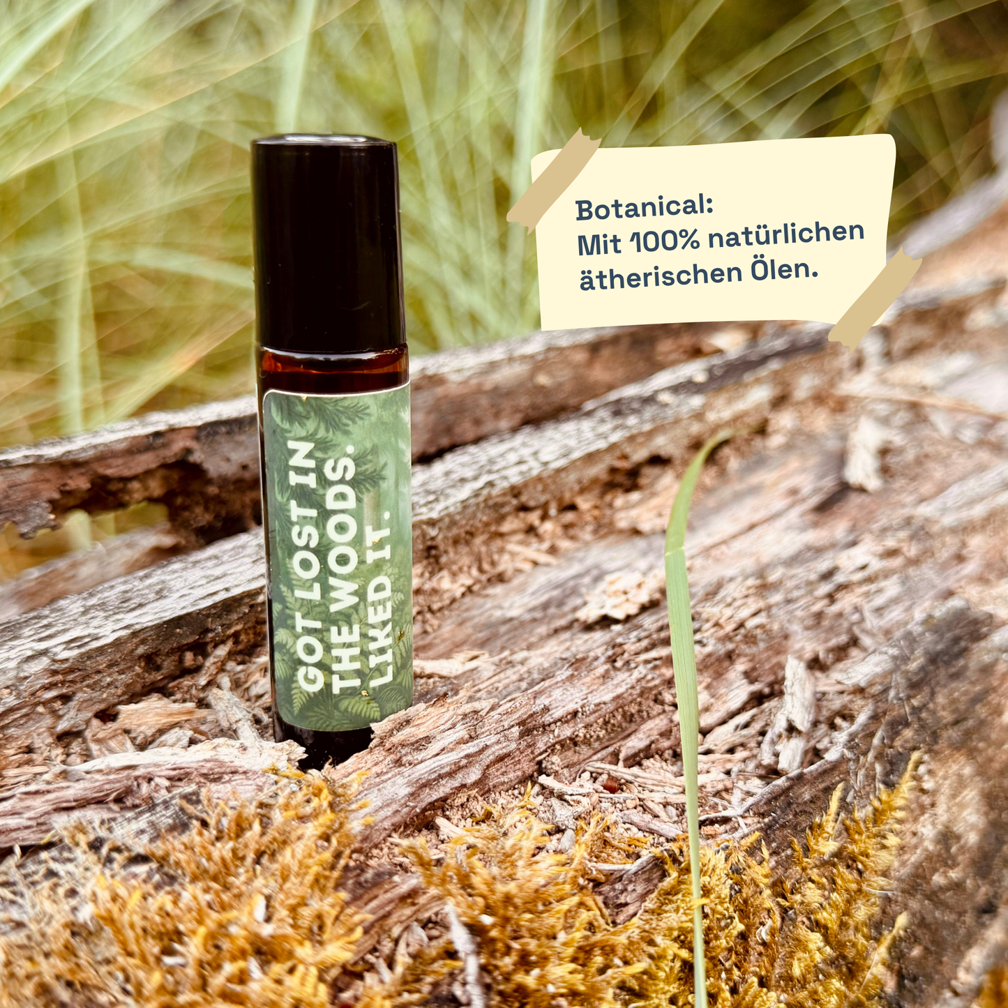 Got Lost In The Woods. Liked It.